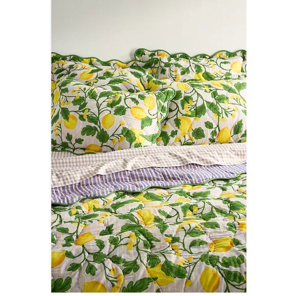 Anthropologie Other - Anthropologie Iluka Cotton Printed Floral Shams Pillow Set of 2 Standard